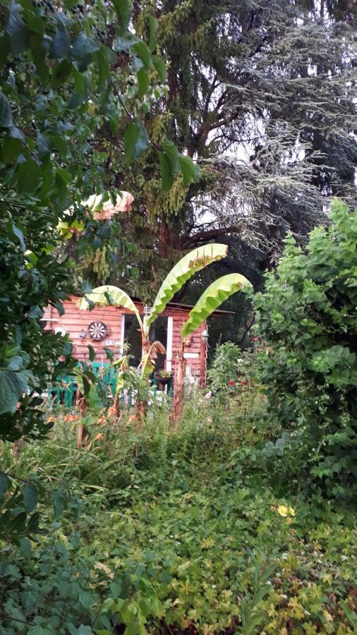 Le Jardin Des Merveilles Saint-Pierre-d'Autils Exterior photo